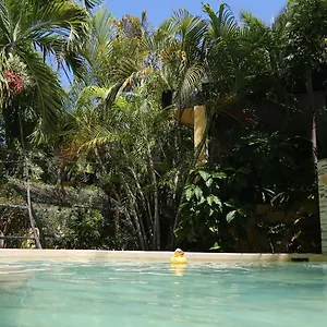 Auberge de jeunesse Oryx, Tulum